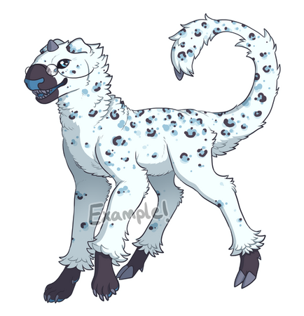 $80 Fullbody